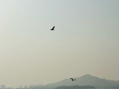 -云龙湖旅游景区