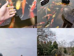 -万佛湖风景区
