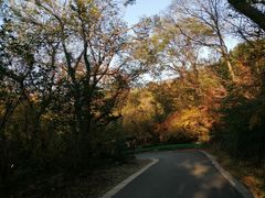 -大蜀山国家森林公园