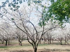 -长春公园(普阳街道)