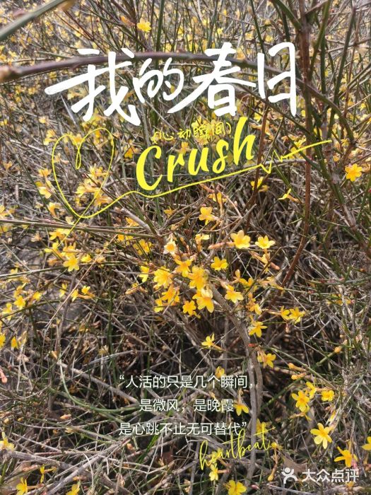 郑东新区湿地公园图片