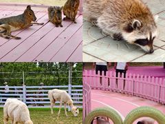 -渔岛海洋度假区