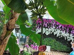 -石家庄市植物园