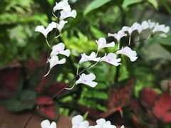 -云溪植物园
