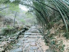 -会稽山峡洞漂流-上青古道