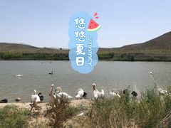 -新疆天山野生动物园