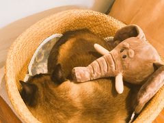 -About Bistro關於·泰式家庭料理