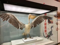 -浙江自然博物院(杭州馆)
