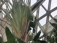 -鑫花溪牛肉米粉(天山店)