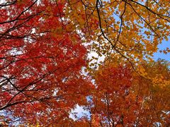 -叠溪松坪沟景区
