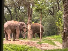 -北京野生动物园