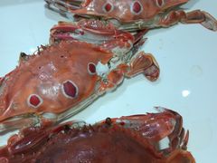-麓湖国际水疗