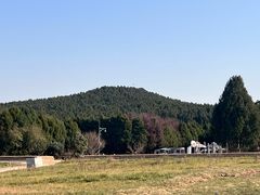 -秦始皇帝陵博物院-丽山园