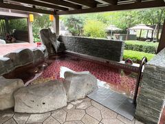 -北京乐多港万豪酒店汤乐宫温泉