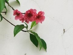 -乌山风景区