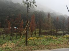 -广州市石门国家森林公园