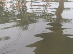 -华山御温泉度假村