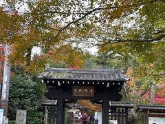 -常寂光寺