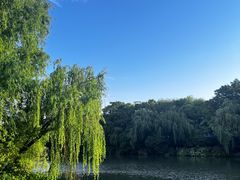 -杭州半山国家森林公园