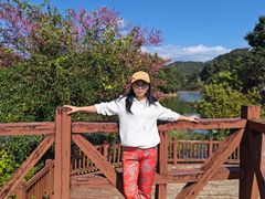 -广州市石门国家森林公园