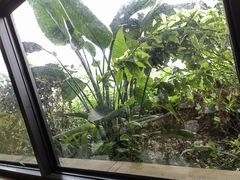 -老号尤兔头(幸福店)