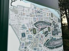 -武汉大学-樱园