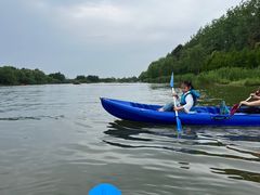 -合肥滨湖国家森林公园