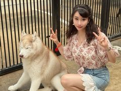 -TrueLove @ Neverland (Husky Cafe)