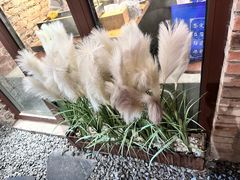-壹头蒜烧烤小院儿