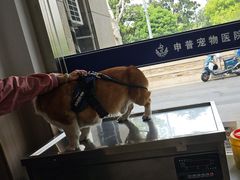 -申普宠物医院·眼科·心内科·影像科(普陀分院)