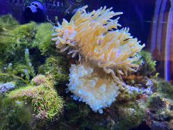 -Zoolung Zoolung动物主题公园(海信广场店)