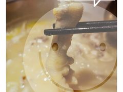 -禄婶鸡煲·打边炉