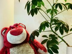 -Fulu Coffee福禄(花园城店)