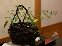 -希望日本料理(保利香槟花园店)