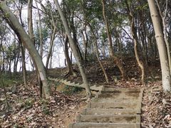 -上海佘山国家森林公园天马山园