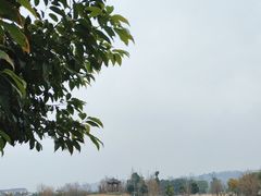 -眉山湿地公园(东坡区)