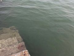 -潍坊欢乐海沙滩景区