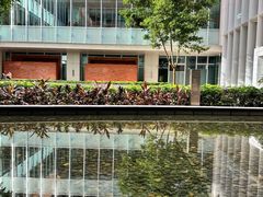 -香港大学