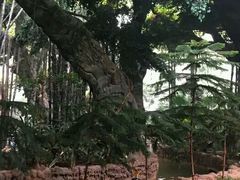 -龙达温泉生态城