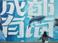 -海合安成都极地海洋公园