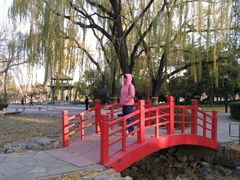 -玲珑塔公园