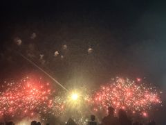 -南宁花花大世界景区
