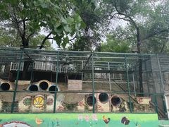 -北京鹿世界主题园