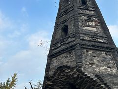 -上海佘山国家森林公园天马山园