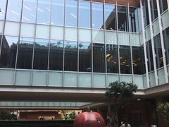 -香港大学