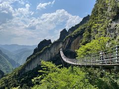 -武陵山森林公园