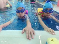 -鲨鱼游泳培训中心