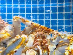-牛天下·牛肉·海鲜·打边炉·融合菜