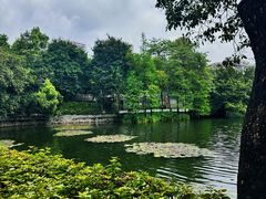 -荔湾湖公园