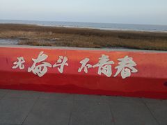 -南汇嘴观海公园